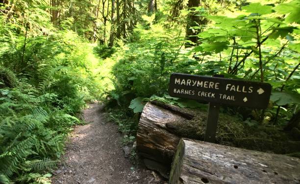 istock marymere falls / barnes creek trail - sign 1268080661