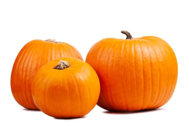 istock Freshly Carved Jack-o-Lantern Pumpkin Isolated on White 1268084326
