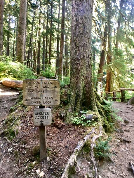 istock sol duc waterfall - wooden signpost 1268084759