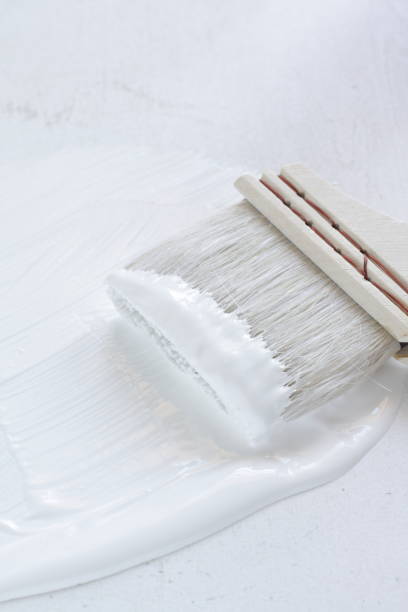 istock white paint color and paintbrush 1268089536