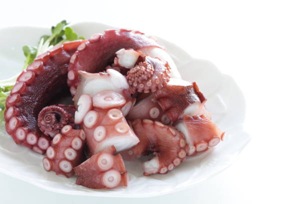 istock chopped octopus on dish for Japanese sashimi 1268090950