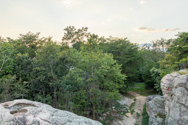 istock Rock Outcrops and Forest in Northeastern Alabama 1268111167