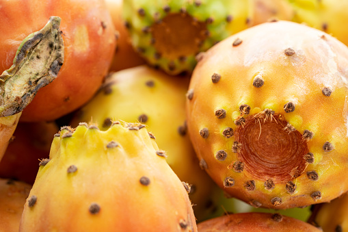 Opuntia fruit or prickly pear fruit on white background. Close-up.