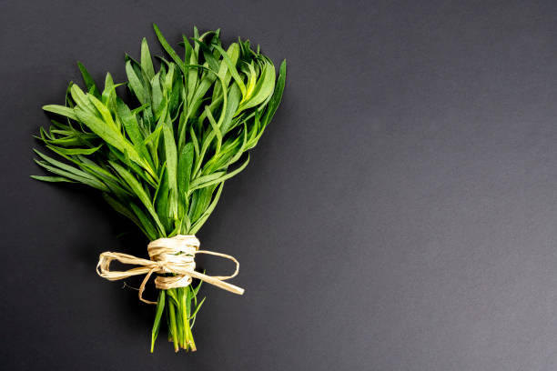 Bunch of Tarragon. Bunch of Fresh and organic tarragonfrom above  on black background with tied knot and large copy space. tarragon stock pictures, royalty-free photos & images