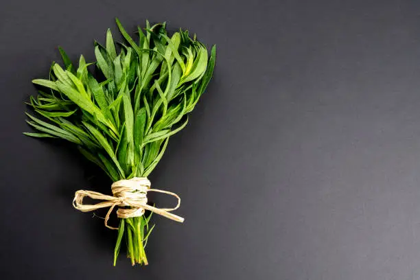 Bunch of Fresh and organic tarragonfrom above  on black background with tied knot and large copy space.