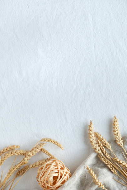istock Flat lay with wheat ears on white textile background. Minimal Autumn harvest design, text space. 1268120853