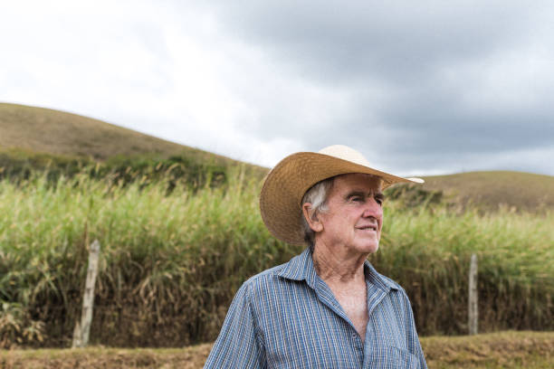 istock Farmer at the plantation 1268121975