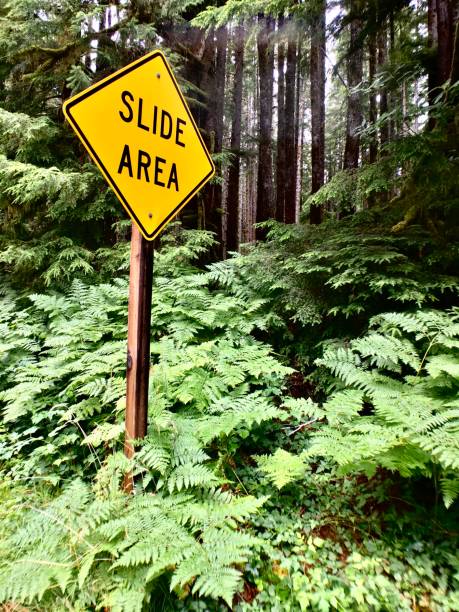 istock slide area - sign, with dense rainforest greenery 1268126124