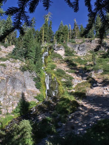 die wunderschön fließenden vidae fällt - mountain mountain peak oregon on top of stock-fotos und bilder