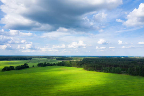 istock Sunny aerial view of forest and meadow. 1268128483