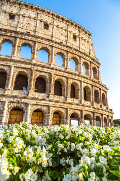 istock Colosseum in Rome, Italy 1268132616