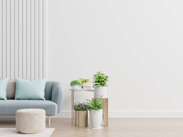 istock Empty living room with blue sofa, plants and table on empty white wall background. 1268133603