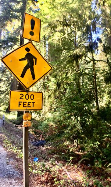 istock pedestrian crossing 200 feet 1268135681