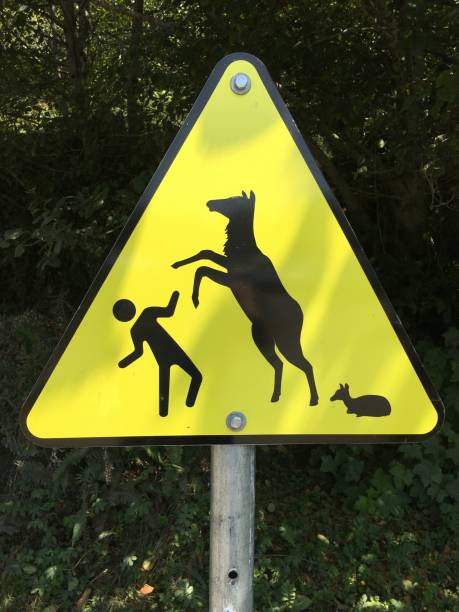 istock beware of attacking mothers 1268137254