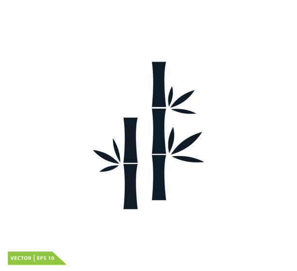 대나무 아이콘 벡터 로고 템플릿 - bamboo shoot leaf bamboo green stock illustrations
