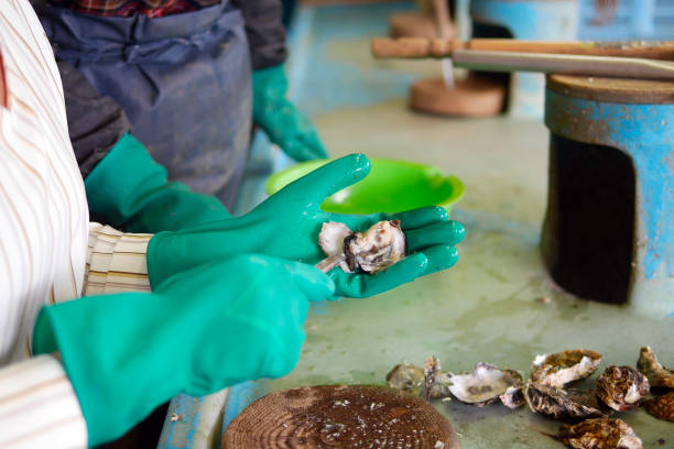 istock Preparing oyster as a fresh seafood ingredient for cooking 1268141867