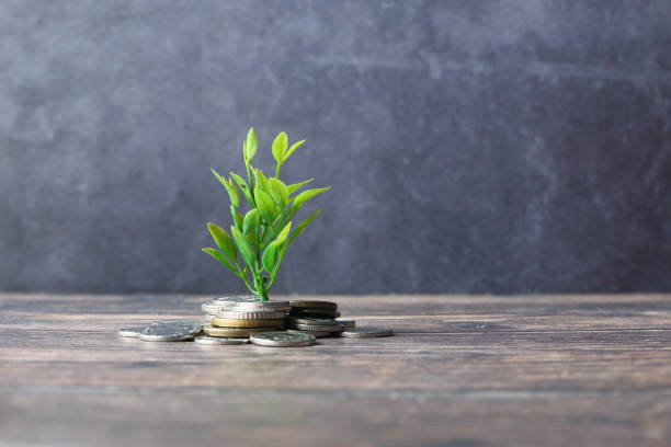 istock Close up of young plan growing through coins. 1268142175