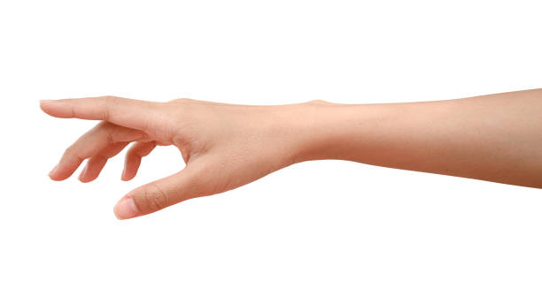istock Hand reach and ready to help or receive. Gesture isolated on white background with clipping path. 1268144243