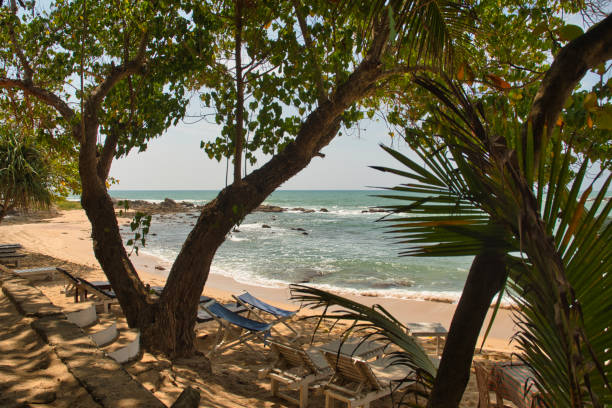 istock Paradise beaches in Sri Lanka 1268144968