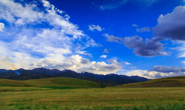 istock Beautiful spring and summer landscape. Lush green hills. Spring blooming herbs. 1268146495