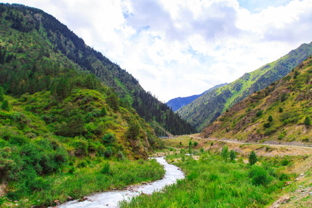 istock Mountain river among green mountains. Summer landscape. 1268146502