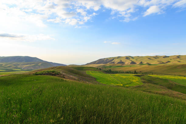istock Beautiful spring and summer landscape. Lush green hills. Spring blooming herbs. 1268146587