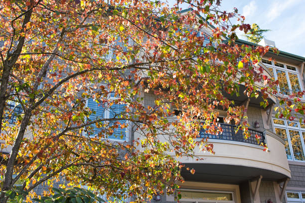 istock Autumn Comes n Bellevue Washington 1268149134