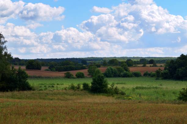 landscape around brodowin, schorfheide-chorin biosphere reserve - schorfheide imagens e fotografias de stock