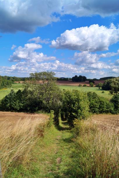 landscape around brodowin, schorfheide-chorin biosphere reserve - schorfheide imagens e fotografias de stock