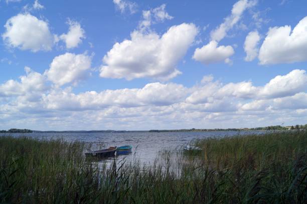 istock Parsteiner See, Schorfheide-Chorin Biosphere Reserve 1268154533