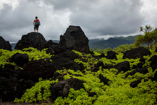 Landscape of Hilo Bay, Big Island, Hawaii - United States