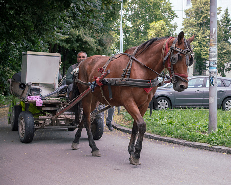 Belgrade, Serbia, Jun 18, 2020: Horse-drawn carriage at the city periphery.