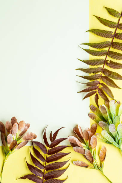 istock Autumn leaves on a yellow background. Autumn concept with place for text 1268172096