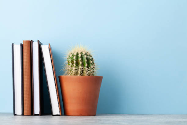 Office notepad supplies or school book items and cactus plant in front of blue wall with copy space for your text