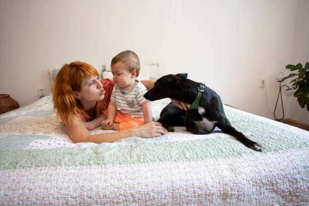 istock Mother playing with her  son and their dog 1268172438