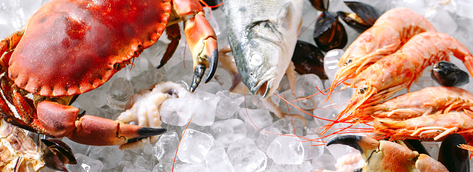 Seafood on ice. Crabs, sturgeon, shellfish, shrimp Rapana Dorado on white ice
