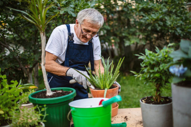 istock Senior man replanting plants 1268178690