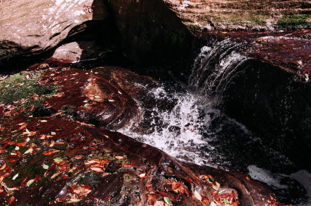 istock white stream of waterfall with autumn leaves covered stones. 1268178925