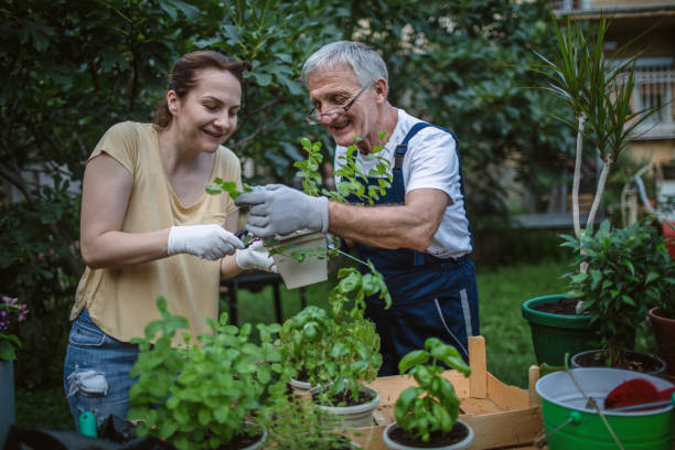 istock Sharing The Joy Of Gardening Together 1268179014