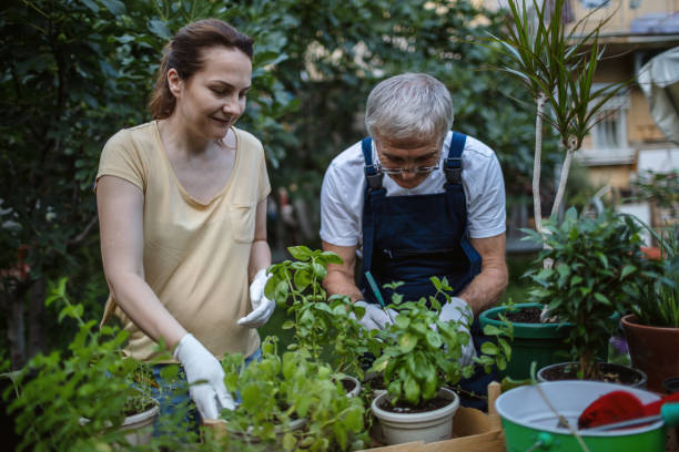 istock Sharing The Joy Of Gardening Together 1268180622