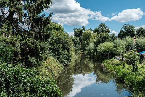 A small river through the forest with very muddy water.