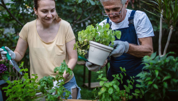 istock Taking care of the plants 1268180877