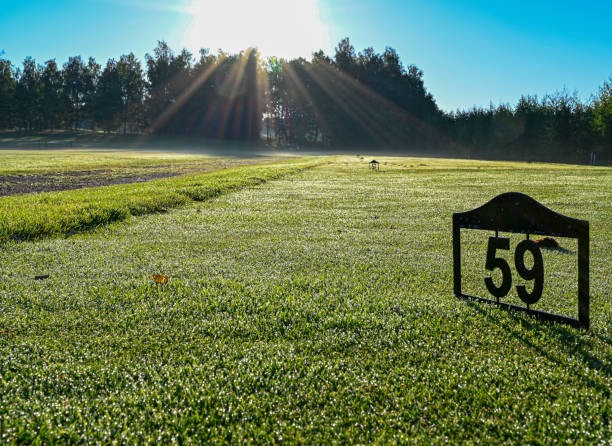 tee al campo da golf la mattina presto in svezia - numero 59 foto e immagini stock