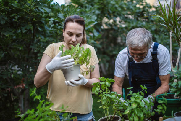 istock Taking care of the plants 1268182458