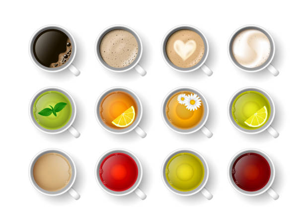 ilustrações de stock, clip art, desenhos animados e ícones de realistic vector 3d cup of hot beverage set. teacup with green, black lemon tea , mint, herbal chamomile tea, rooibos, masala tea and coffee assortment cappuccino, latte, espresso, americano top view - green tea illustrations