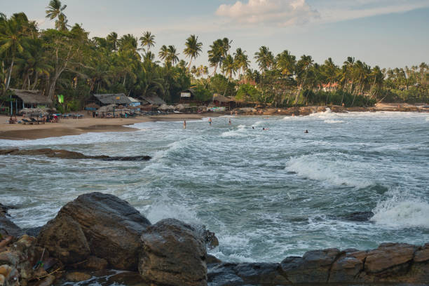 istock Paradise beaches in Sri Lanka 1268184354