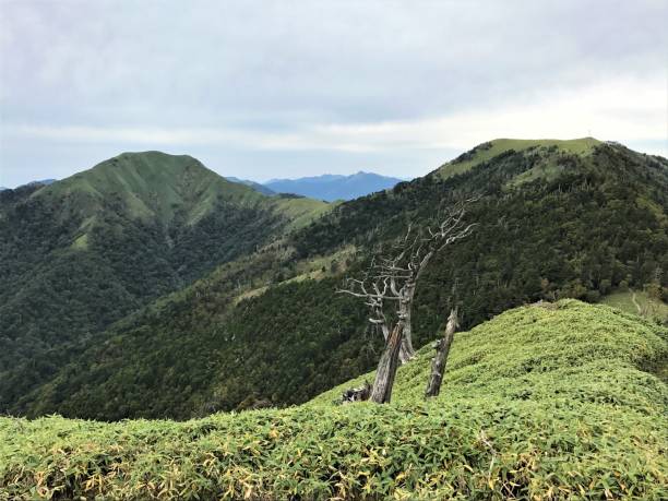 Mount Tsurugi Tokushima Fotos Bilder und Stockfotos iStock