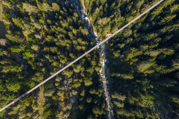 istock Aerial view of suspension bridge in pine tree valley 1268188087