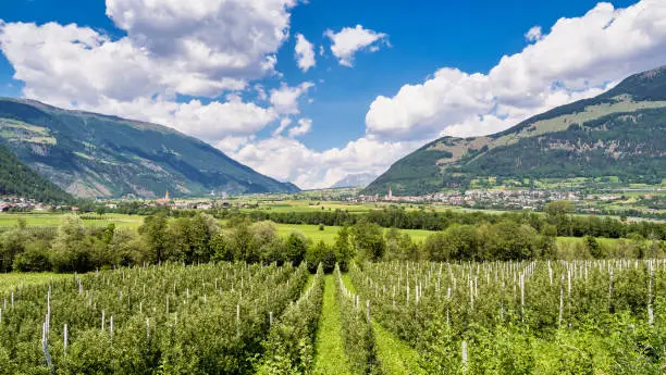 Val Venosta, Vinschgau, Alto Adige, Italy. View over Mals in South Tyrol, Italy near the border to Austria and Switzerland