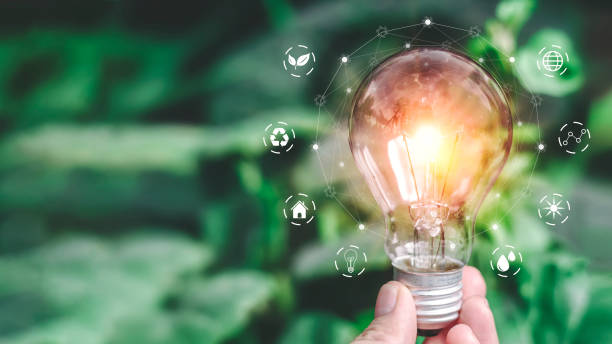 light bulb ideas on a background of blurred green trees ecological energy efficiency energy efficiency concept - creative sustainability imagens e fotografias de stock